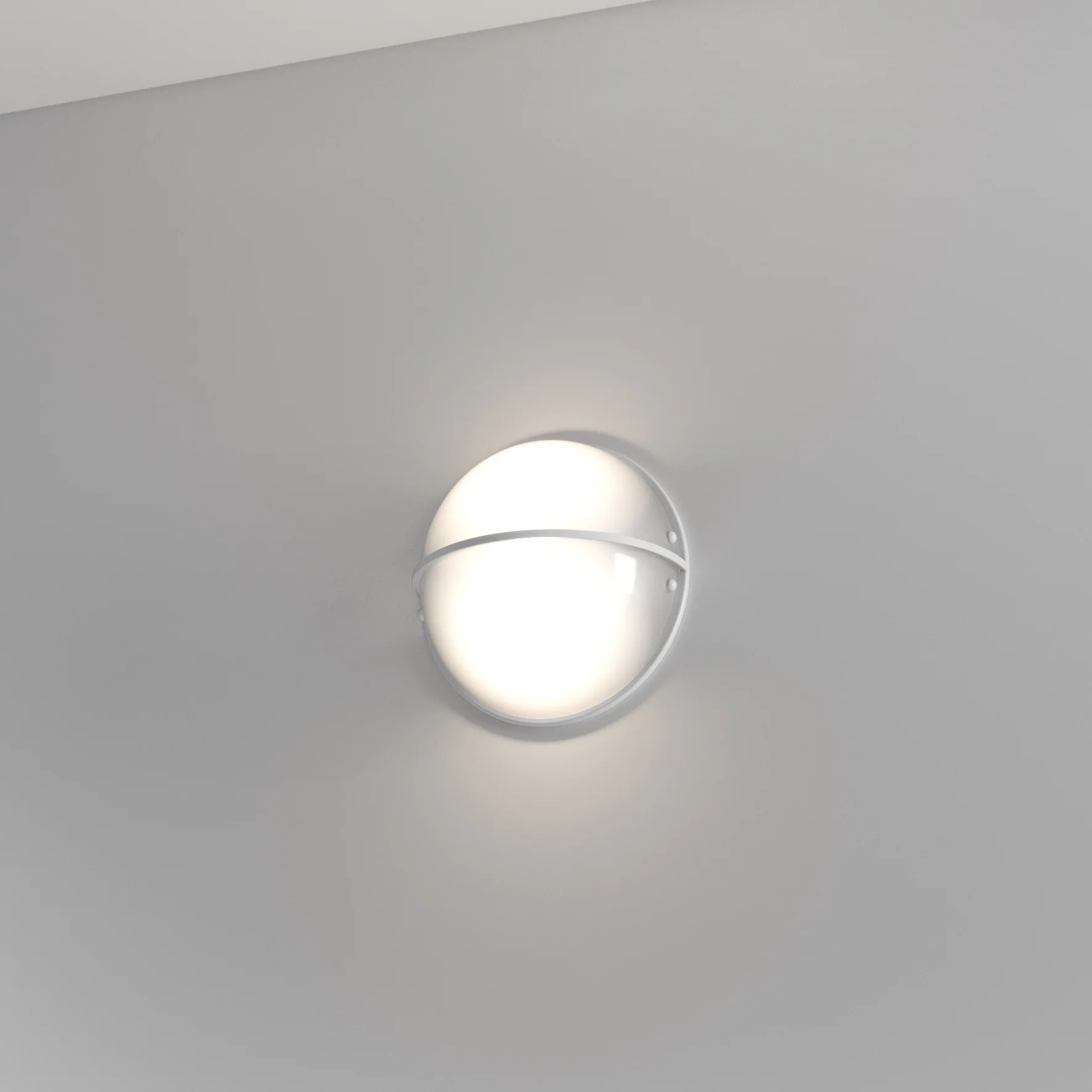 Perla - Image 4